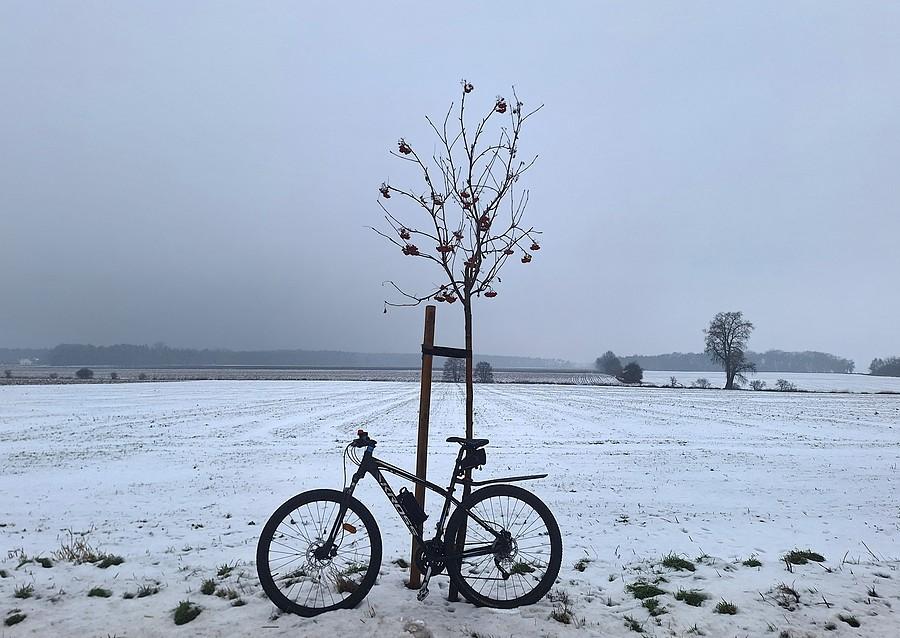 Mglista rowerówka
