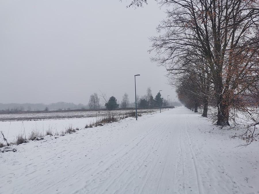 Droga rowerowa Powsin - Wilanów