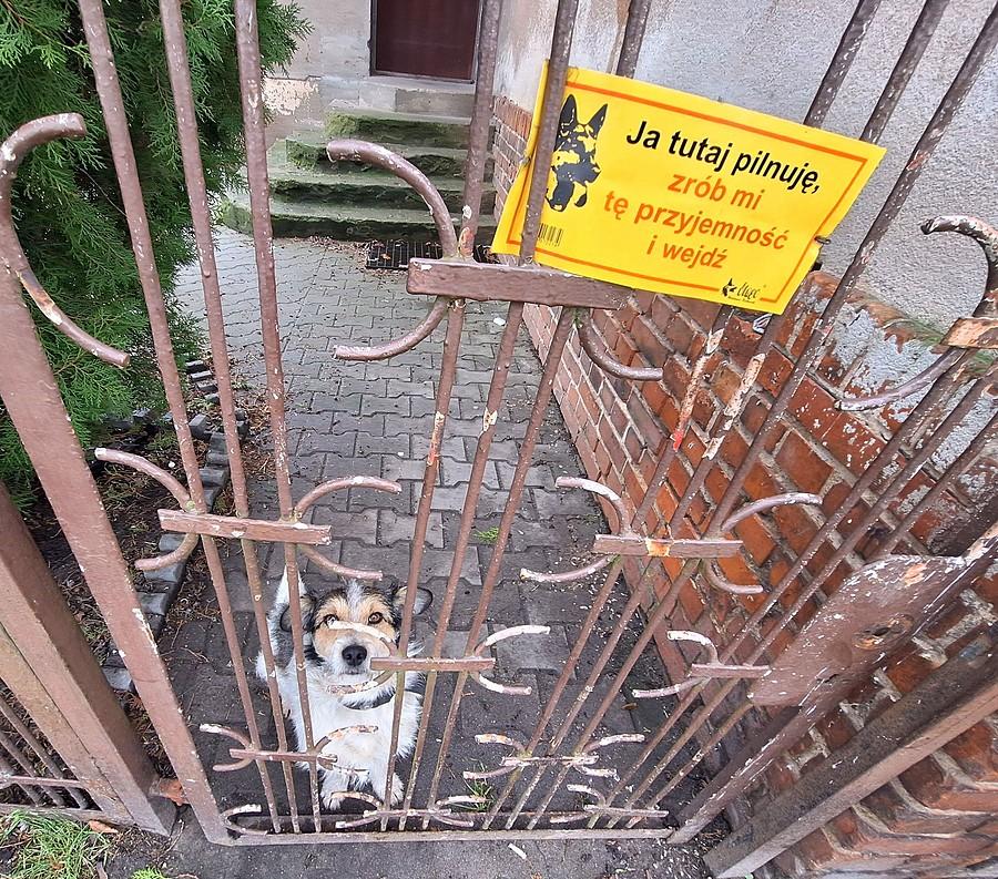 Znów czekał :)