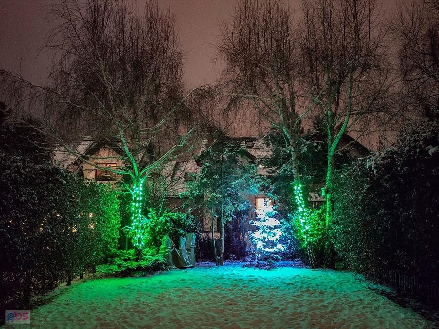 Backyard w tonacji zielonej