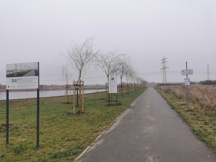 Wspólna pieszo-rowerowa w Michałowicach