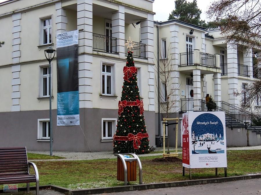Choinka przed Hugonówką