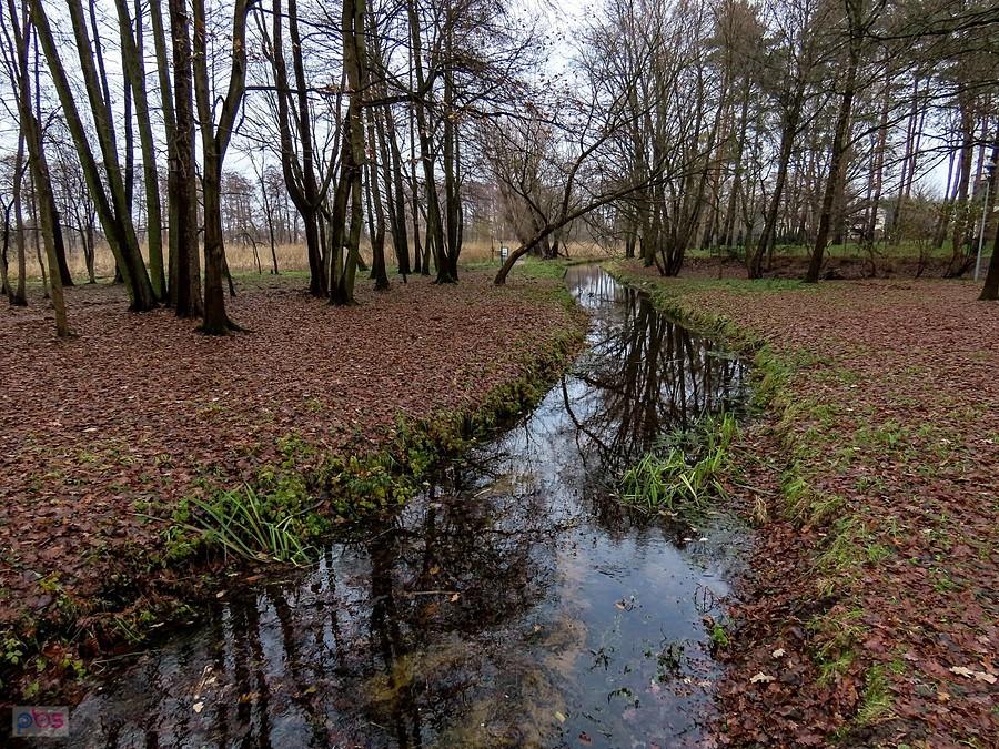Mała po ostatnich opadach znów płynie