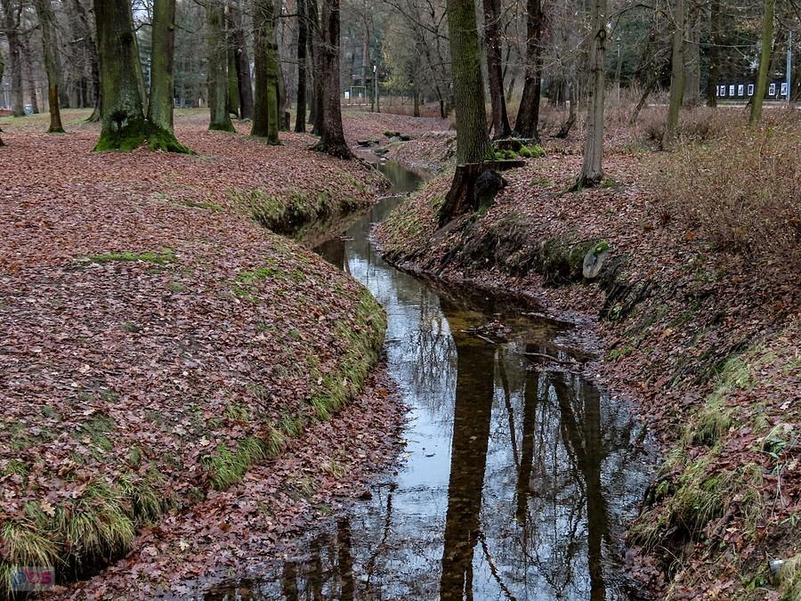 Meandry Małej