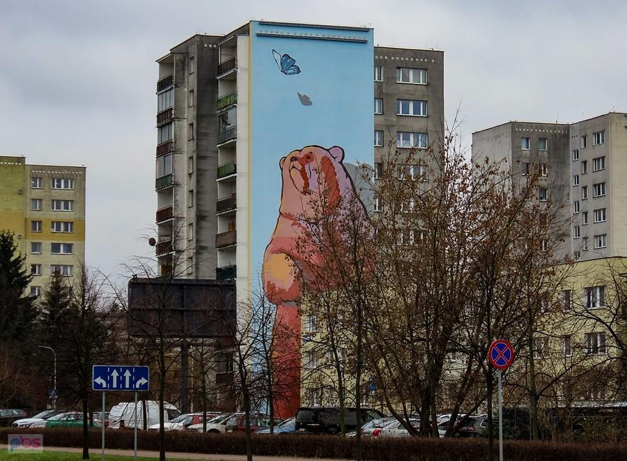 Misiek widziany z al. KEN