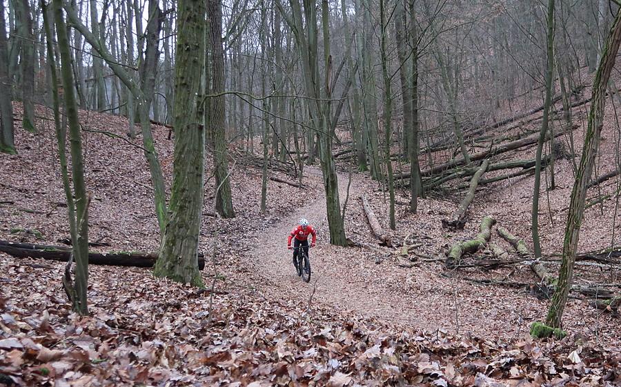 Rasowy biker MTB w naturalnym środowisku WPN