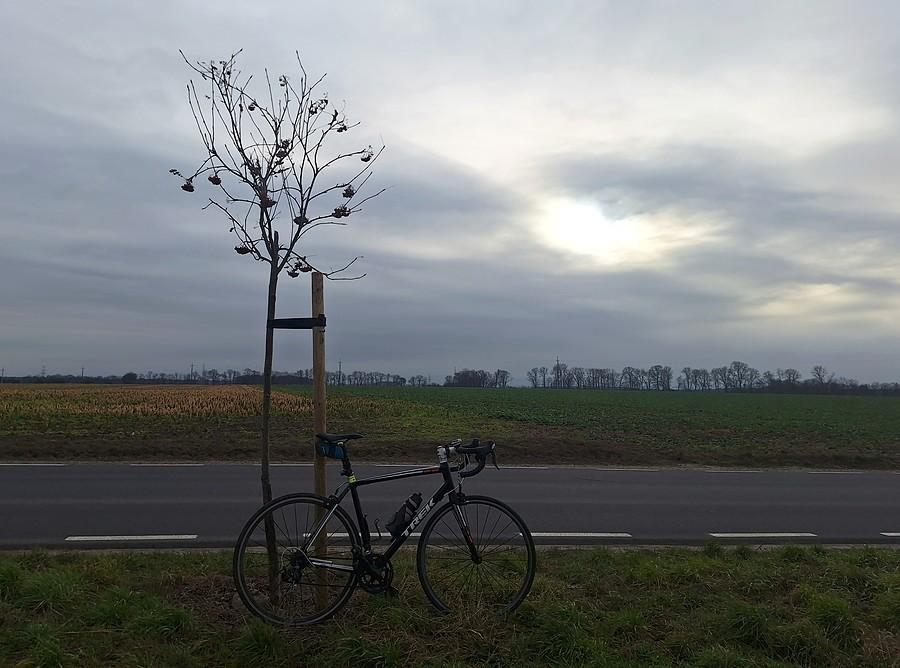 Rowerówka, jeszcze ze słońcem