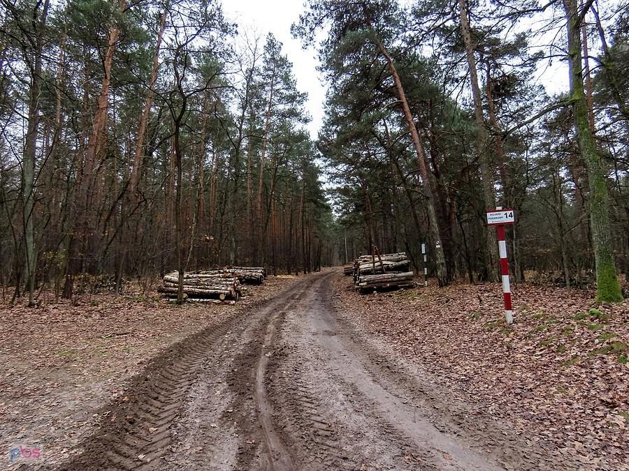 Droga pożarowa nr 14 prowadzi do Łyczyna
