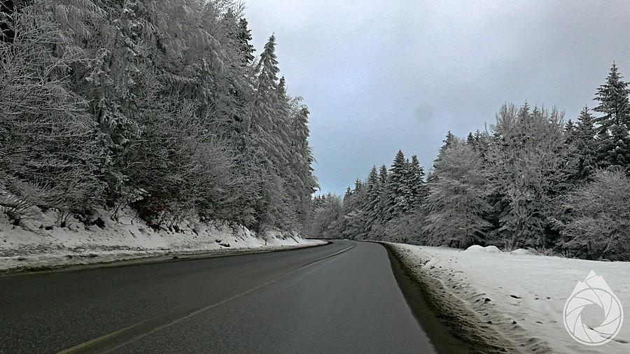 śnieżny podjazd na Krzyżówkę w Krynicy