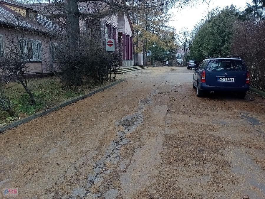 Dywanik z modrzewiowych igiełek