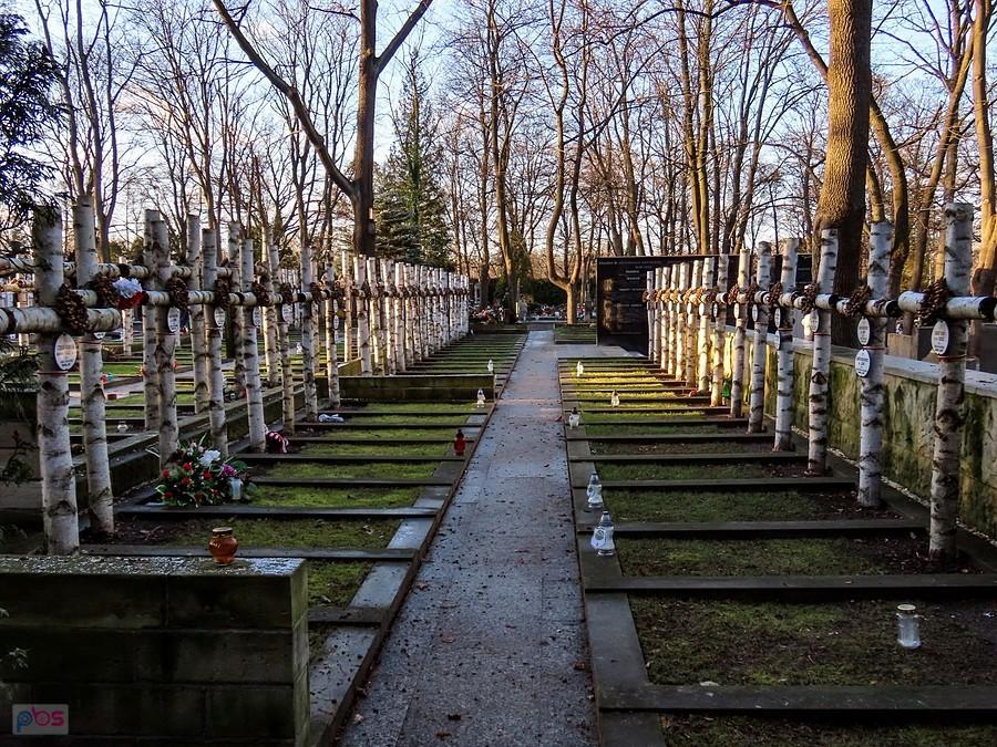 Brzozowe krzyże na kwaterze Batalionu Zośka