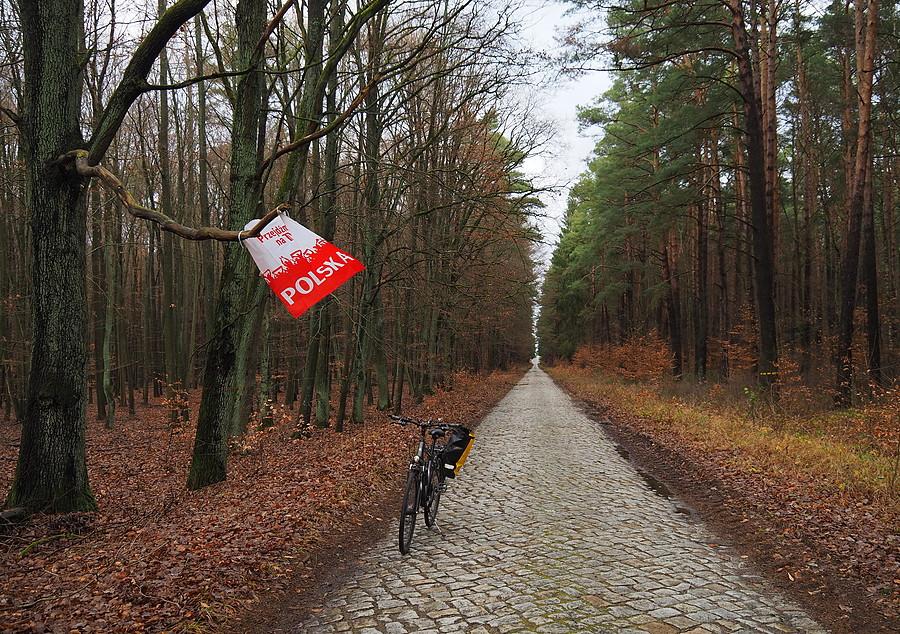 Patriotyczne drzewo i bruk z Nowych Biskupic do Zielonego Boru