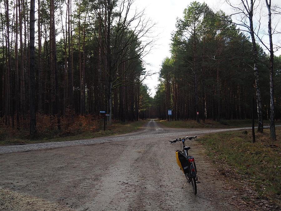 Przecinam szutrówką bruk śródleśny w Puszczy Rzepińskiej