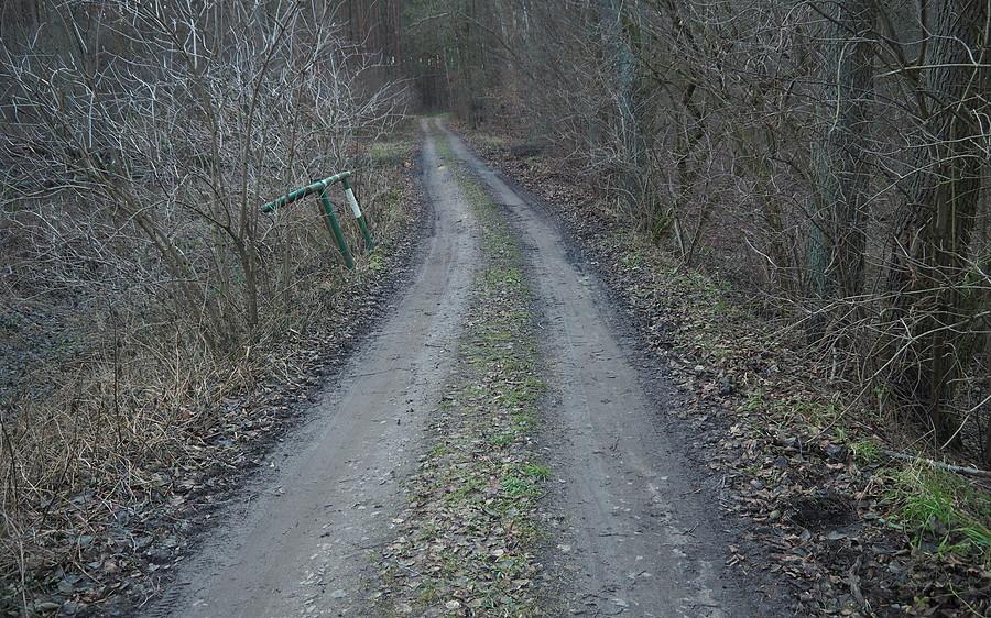 Dziś tylko na zaciszne drogi