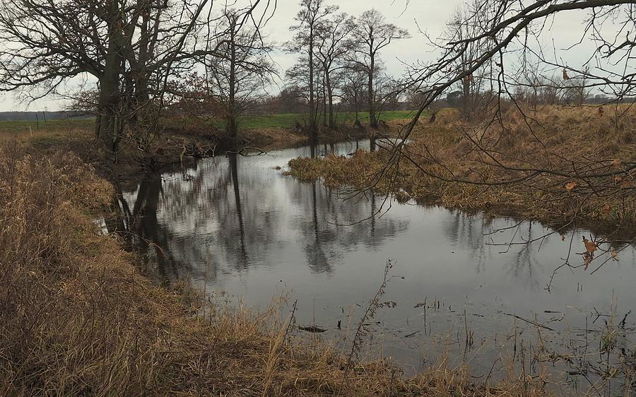 Łąki, pola, starorzecza