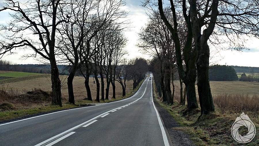 prosta z Olkusza w stronę Trzebini