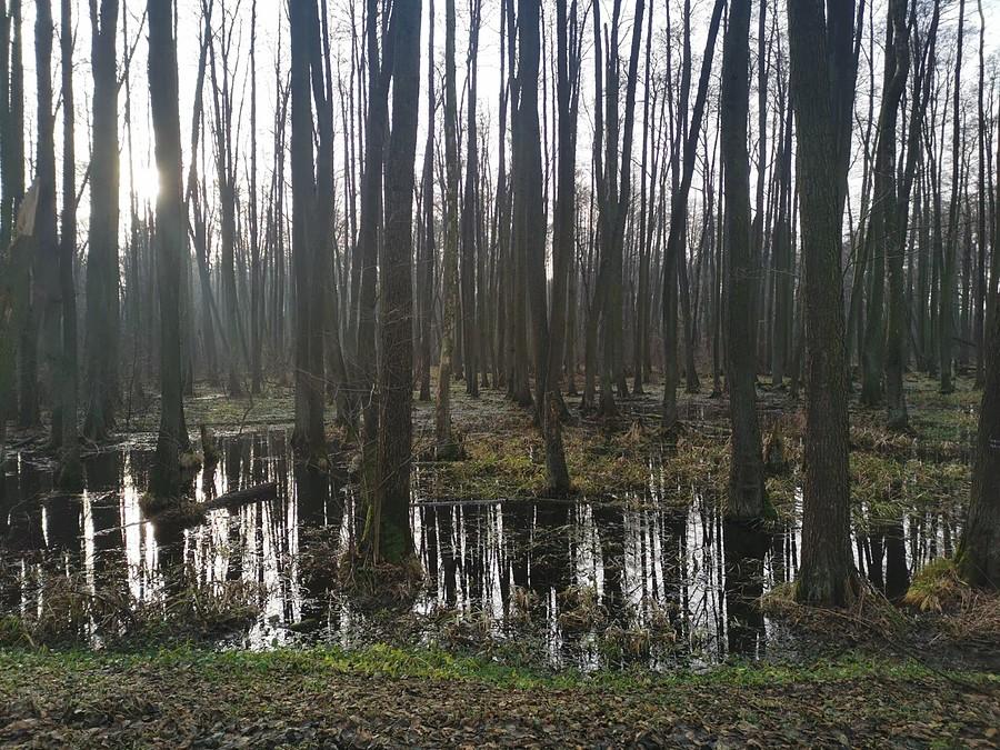 Bagno Oborskie