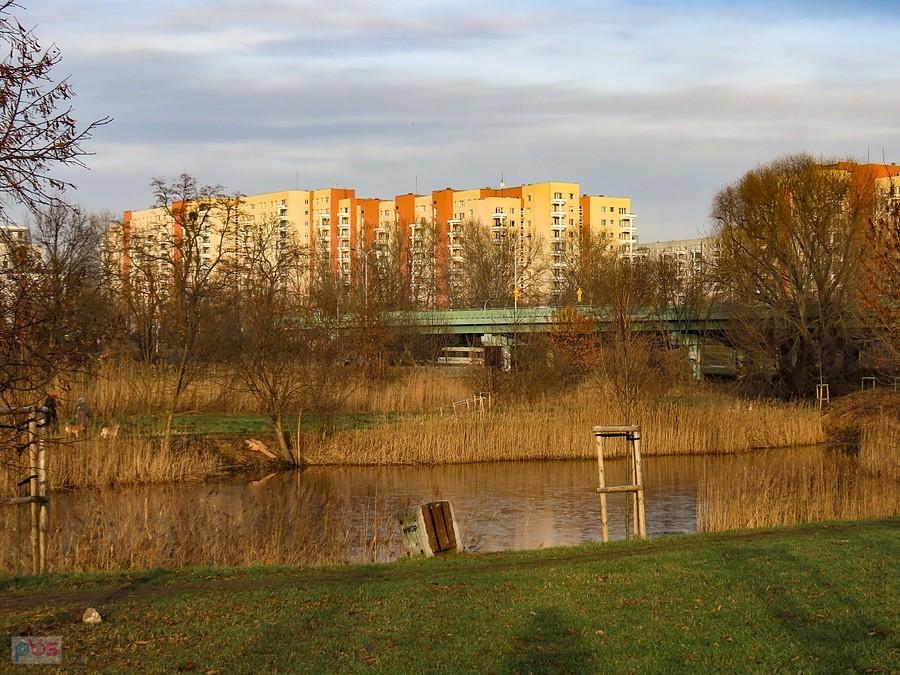 Staw i blokowiska