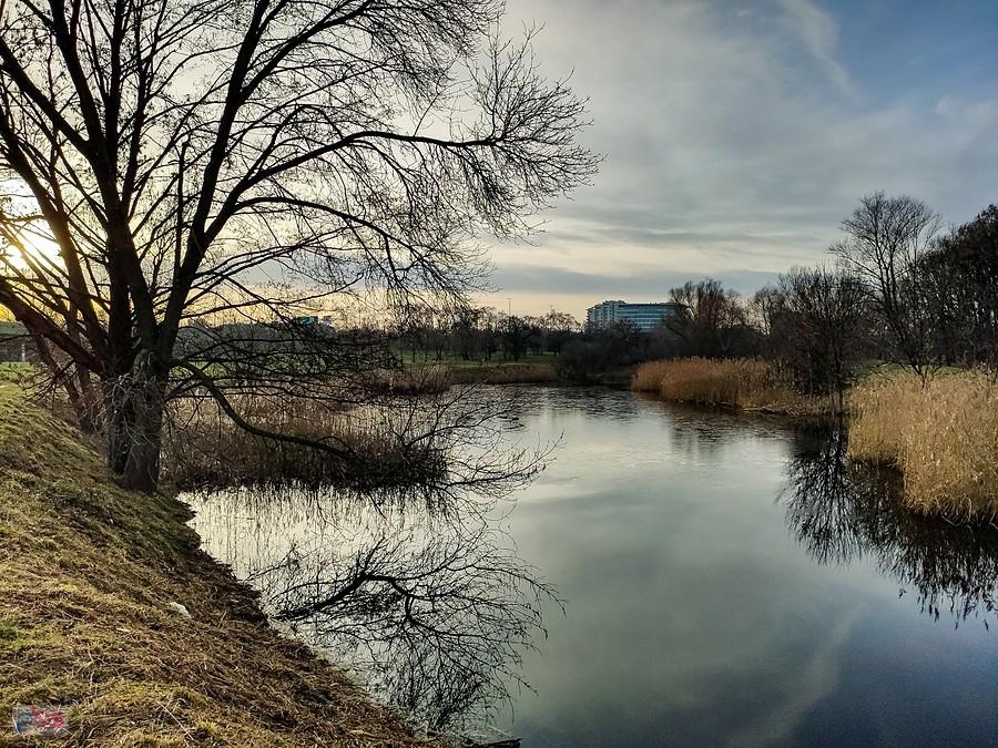 Staw Kaczeńcowy Dolny