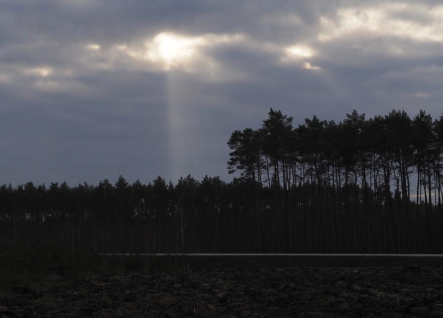 Pierwsze przebłyski po nocnych opadach