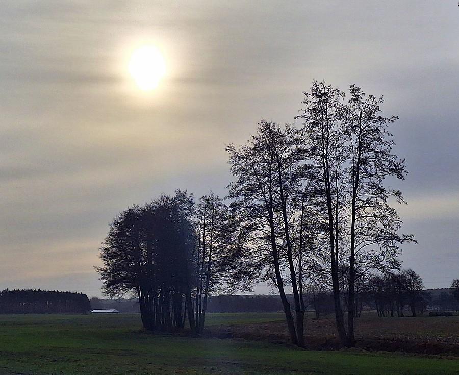 Styczniowe klimaty