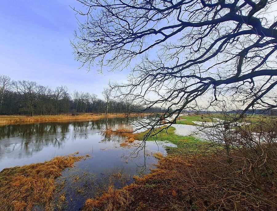 Styczniowa rozlana Warta