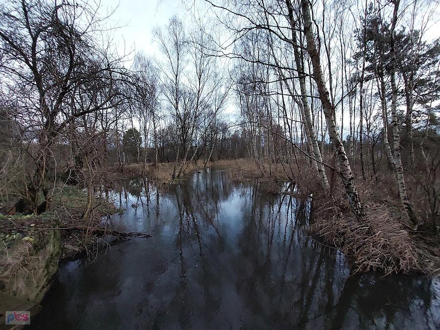 Rozlewisko Bzury obok mostu w Nowomłynach