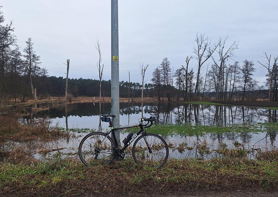 Rowerówka znad rozlewiska