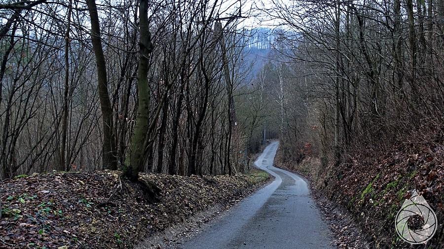 zjazd do Doliny Prądnika