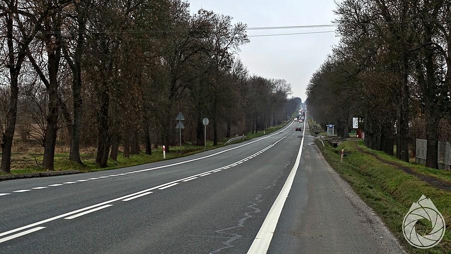 długa prosta ze Słomnik na Miechów
