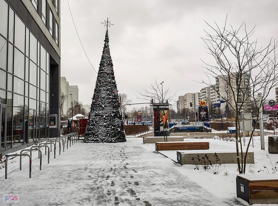 Choinka ursynowska