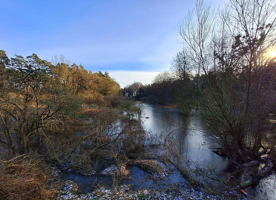 Zamarznięte bagno