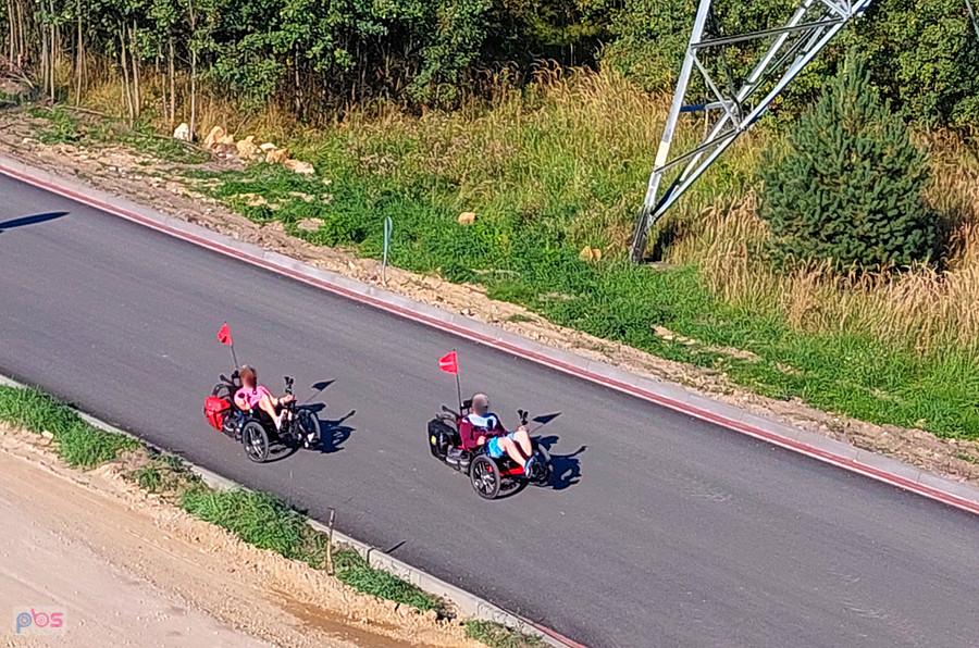 Poziomki na ul. Korfantego - Częstochowa 16.09.2023.
