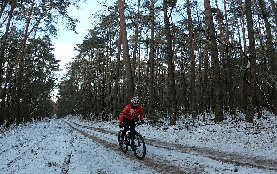 W Puszczy Zielonce spoczko waruny do MTB