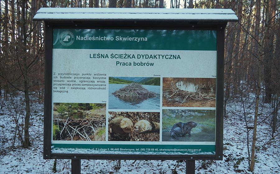 Na ścieżce dydaktycznej