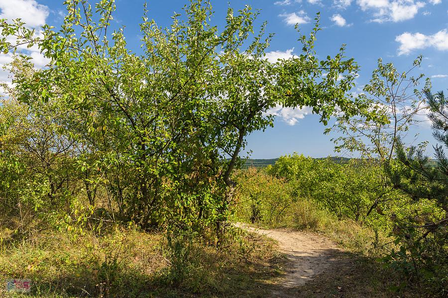 Góra Ossona - dzielnica Mirów w Częstochowie