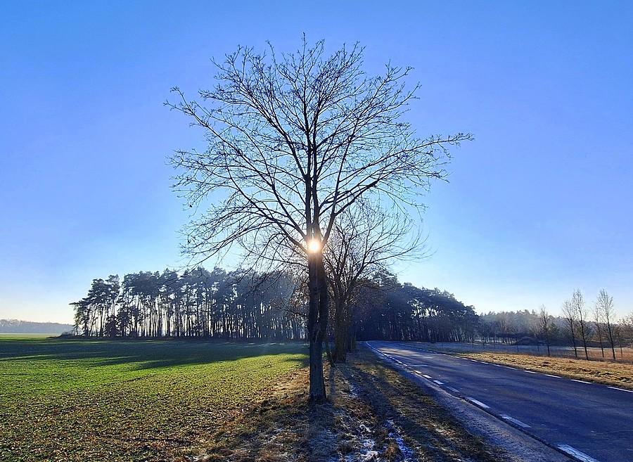 Mroźno, ale słonecznie