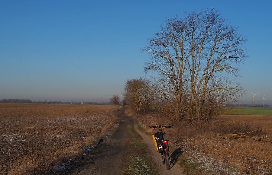 Polna droga na Kowalów
