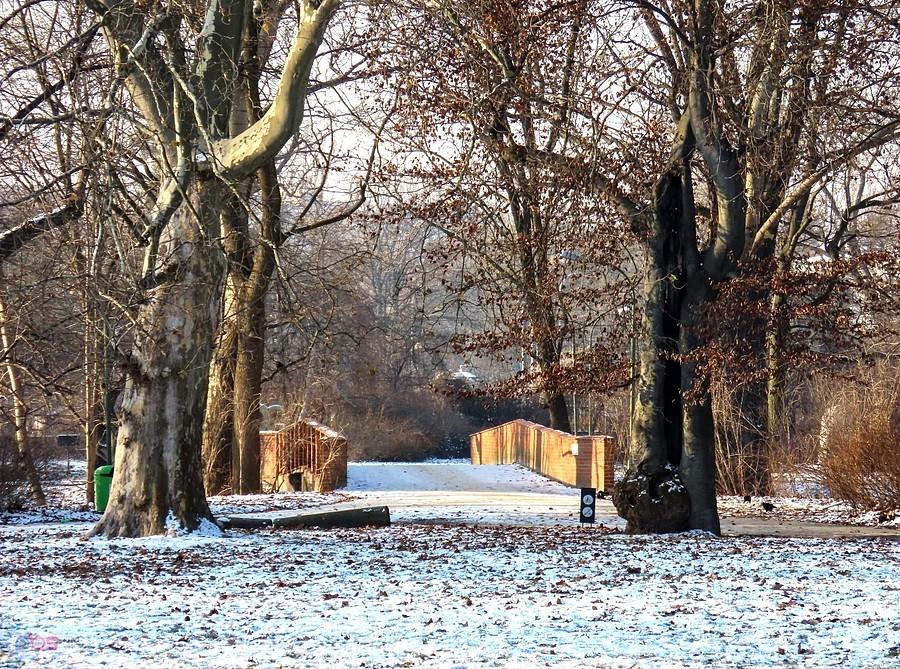 Rzymski most - widok z pod pałacu