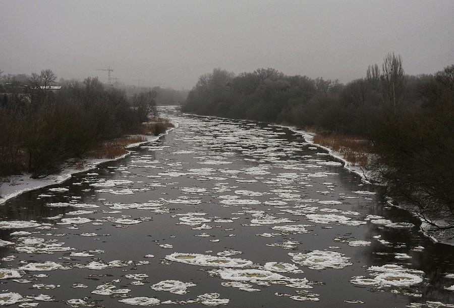 Śryż na Warcie