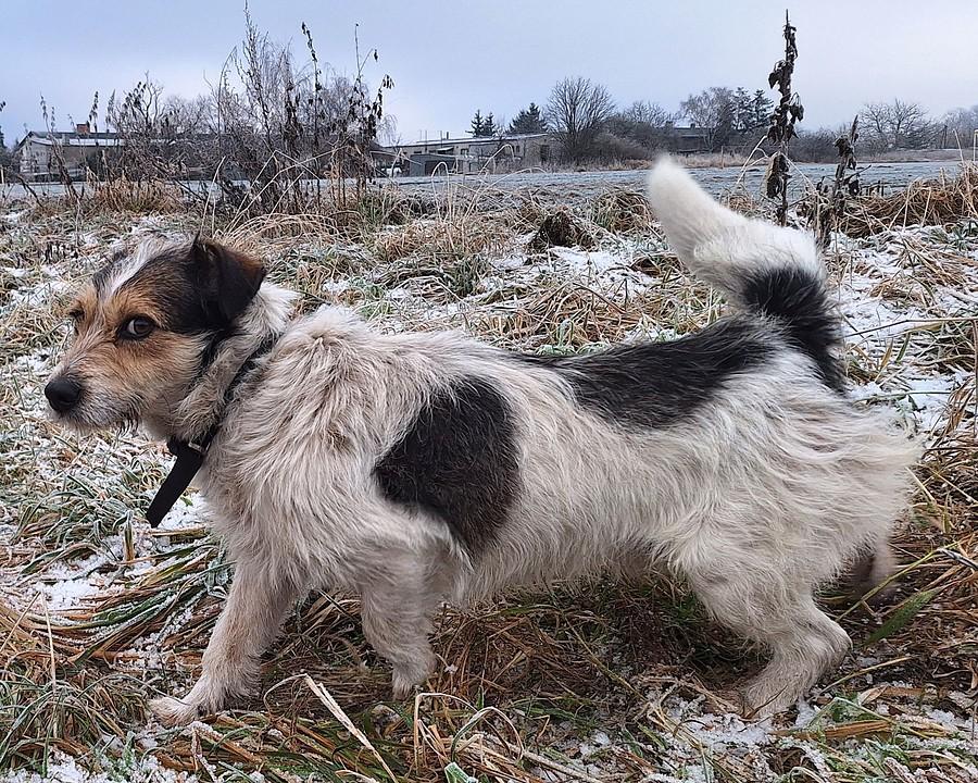 Wzrok bezbłędny
