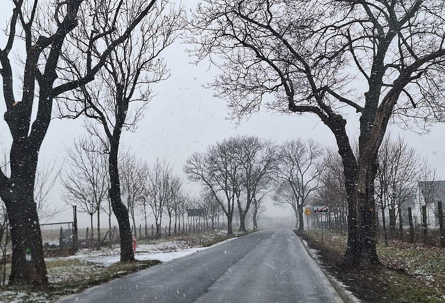 Zaczął padać śnieg. I już nie przestał