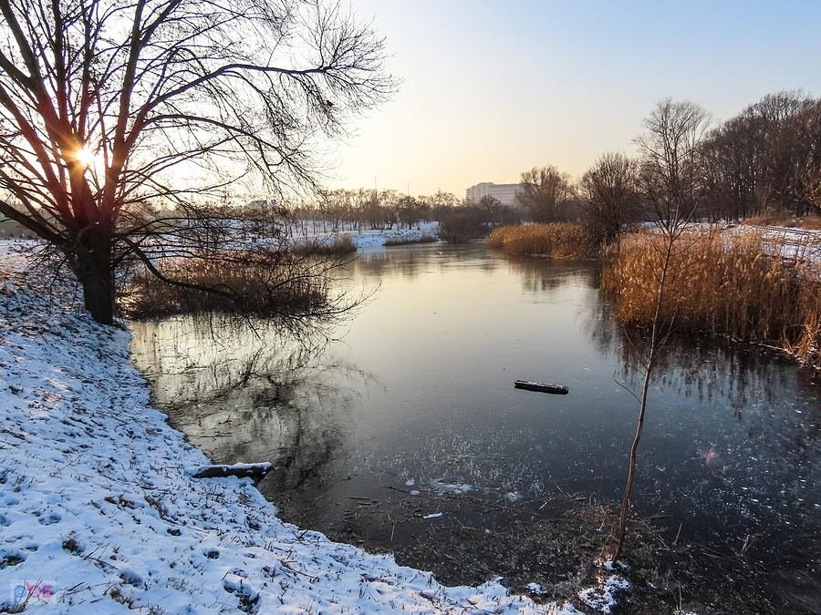 Staw Kaczeńcowy Dolny