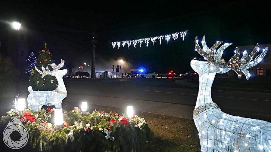 reniferki patrzą na poożar w Plesivecu