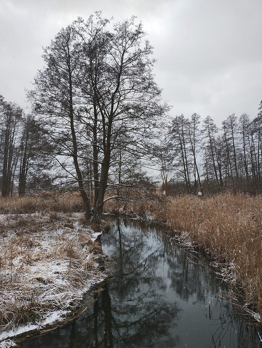 Ilanka pod Starościnem
