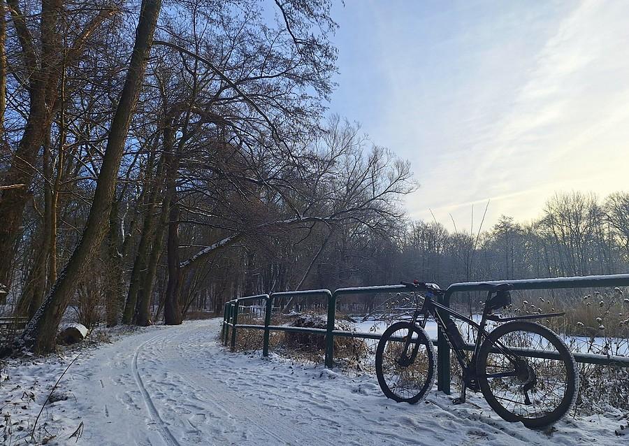Komfortowy leśny śnieżek