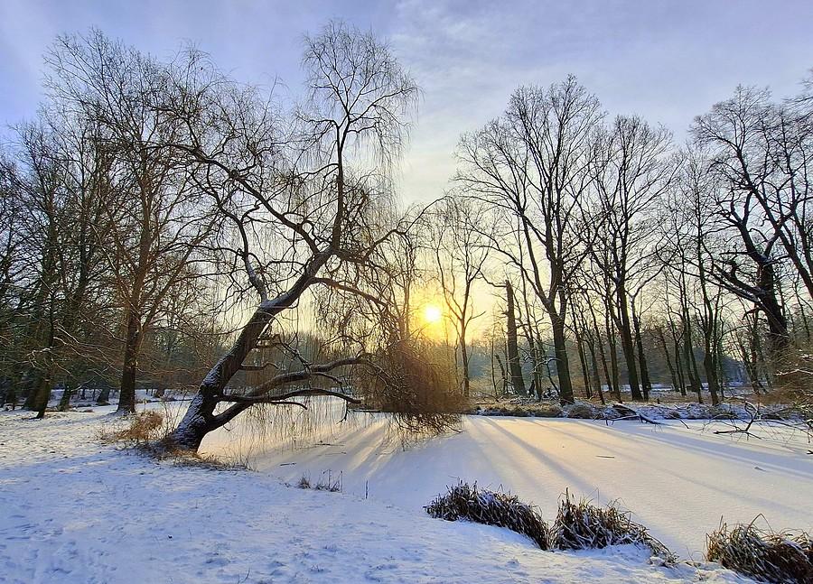 Słońce na poznańskiej Dębinie