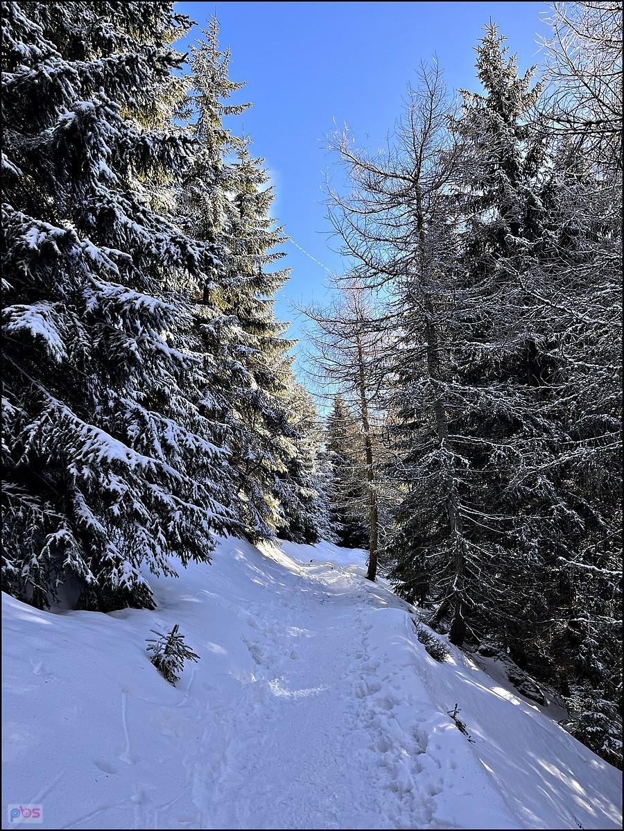 Czerwony szlak z Międzygórza na Śnieżnik