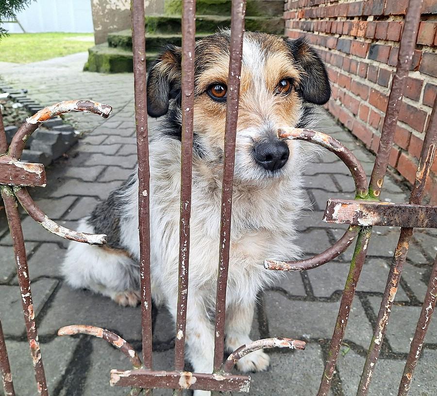 Kogo my tu mamy?