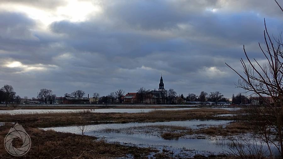 okolice zamku w Krośnie Odrzańskim zza Odry